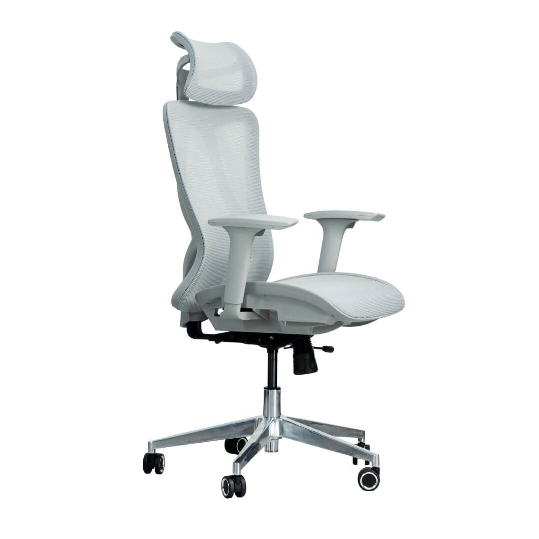Picture of a gray mesh ergonomic chair