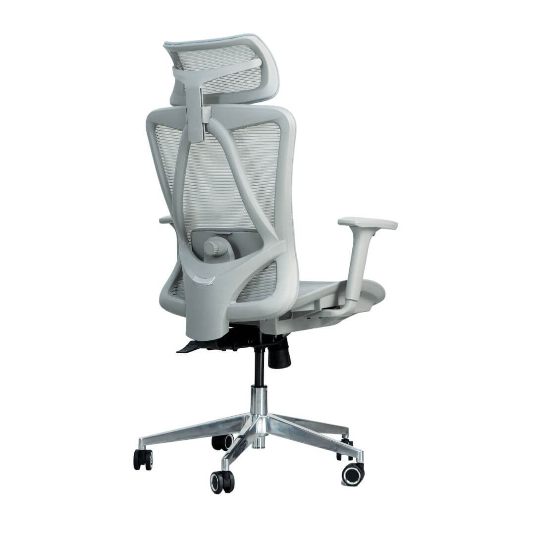 Picture of a gray mesh ergonomic chair