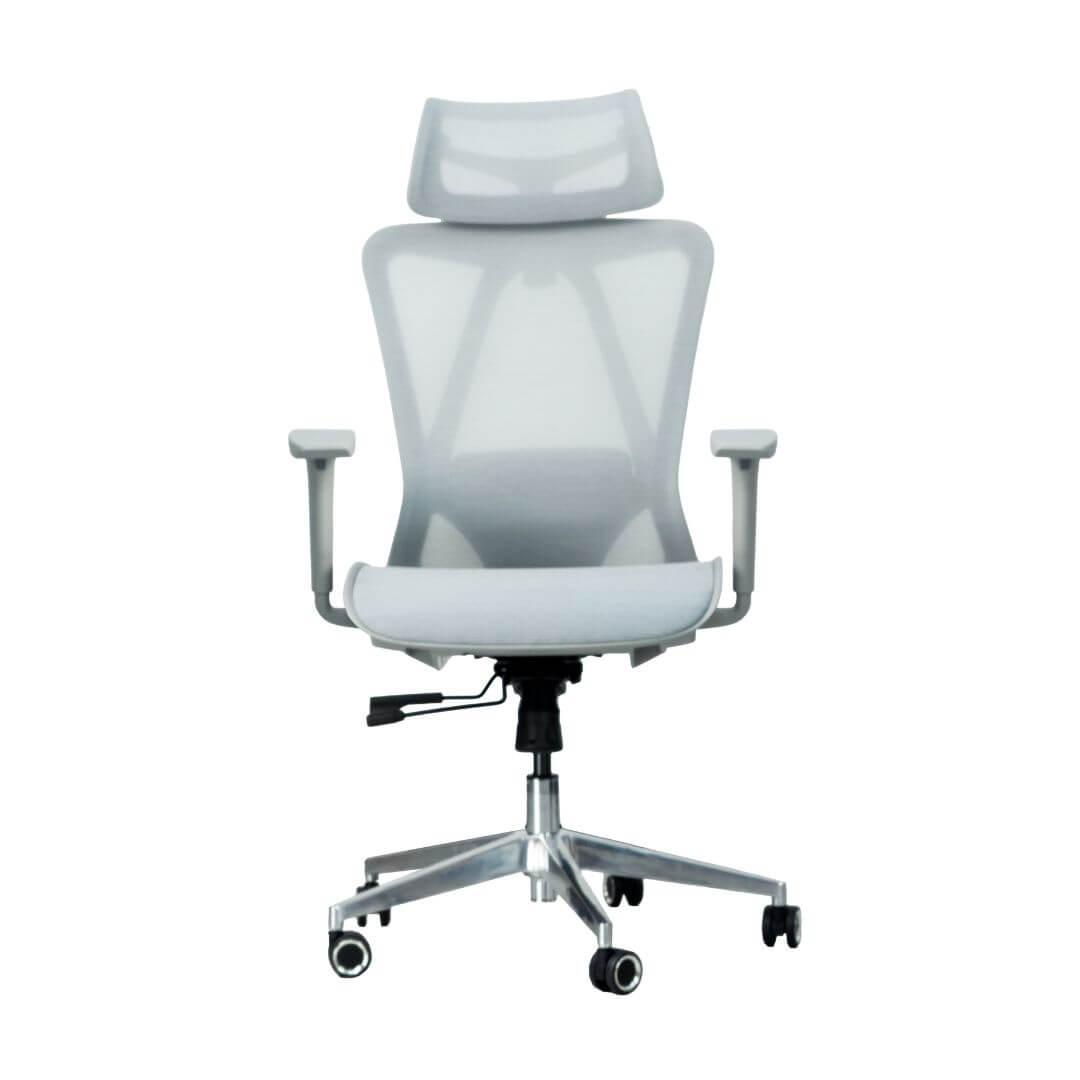 Picture of a gray mesh ergonomic chair
