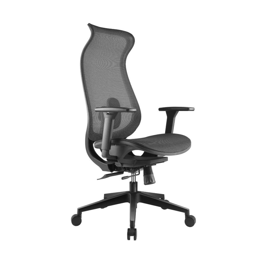 Ergowave_Pro_Ergonomic_Office_Chair