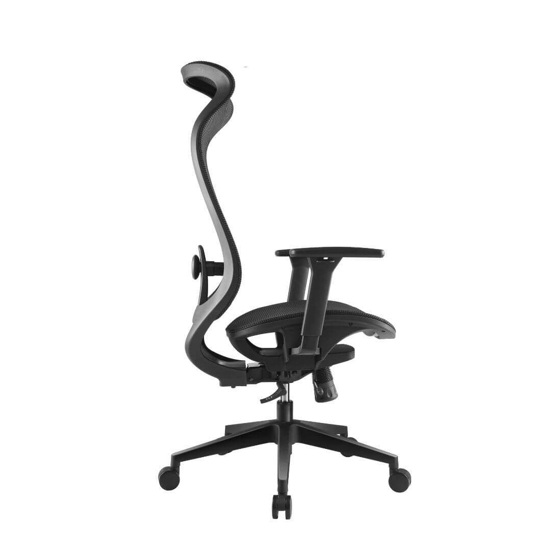 Ergowave_Pro_Ergonomic_Office_Chair