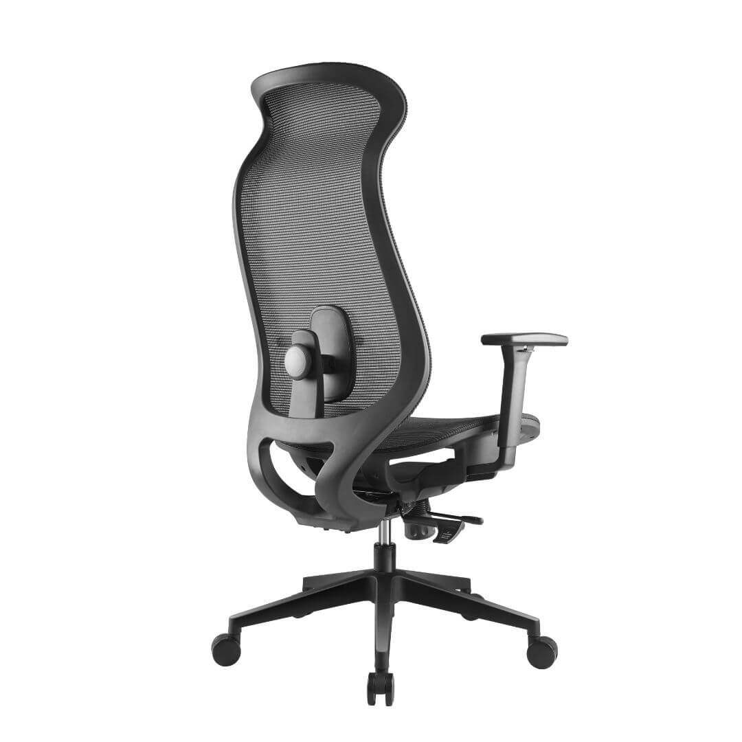Ergowave_Pro_Ergonomic_Office_Chair