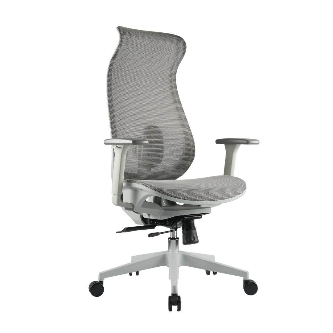 Ergowave_Pro_Ergonomic_Office_Chair
