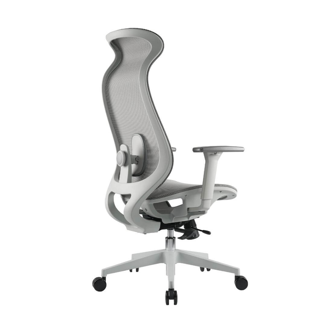 Ergowave_Pro_Ergonomic_Office_Chair