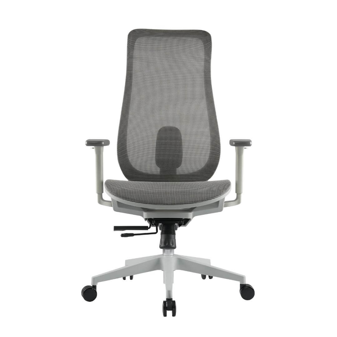 Ergowave_Pro_Ergonomic_Office_Chair