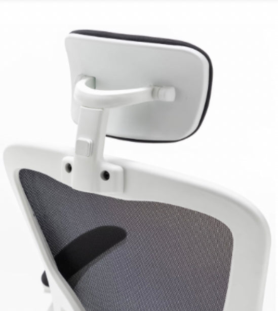 Ark Chair Classic Ergonomic Office Chair - Ark Ergonomics