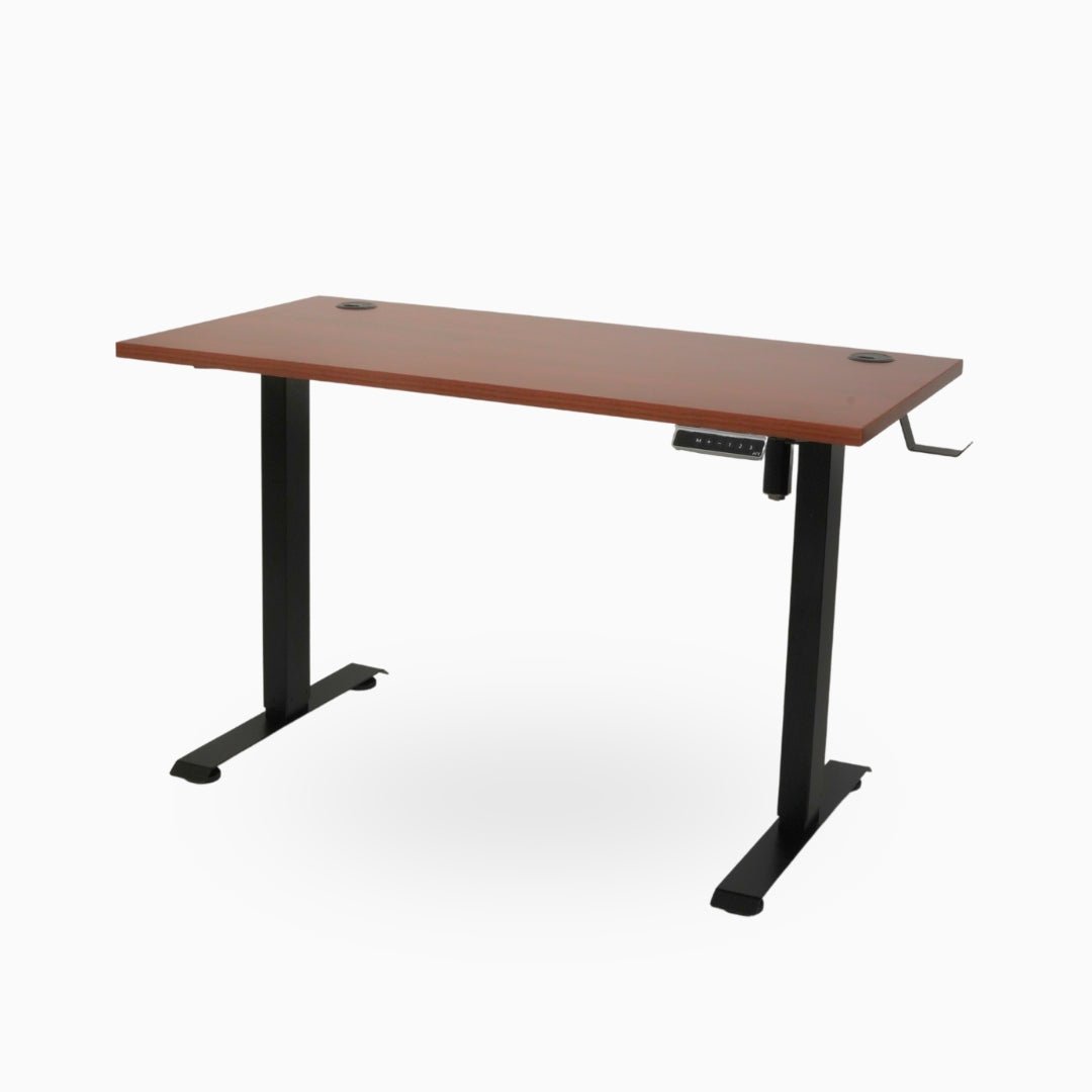 Ark Desk Lite - Economic Single Motor Standing Desk - Ark Ergonomics