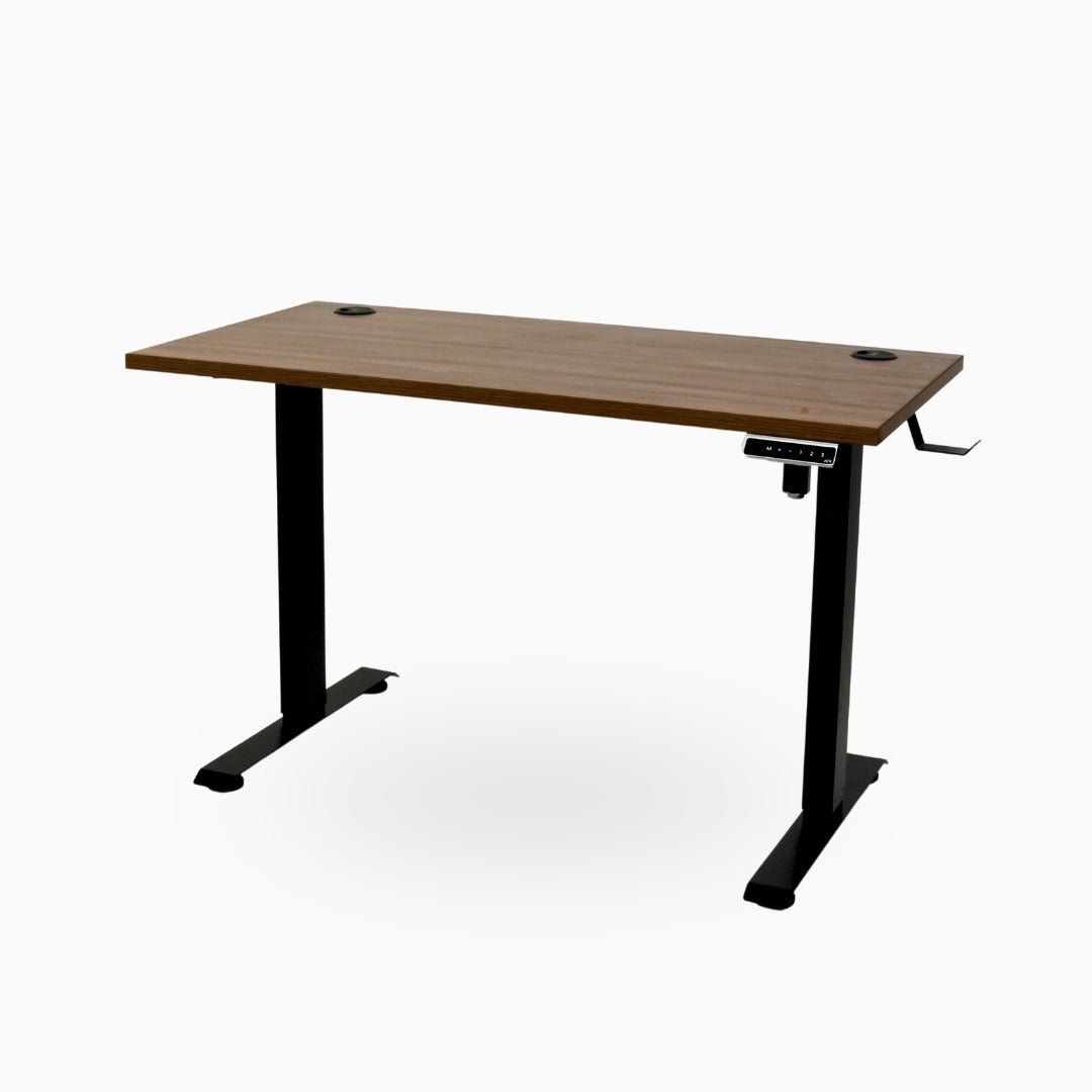 Ark Desk Lite - Economic Single Motor Standing Desk - Ark Ergonomics