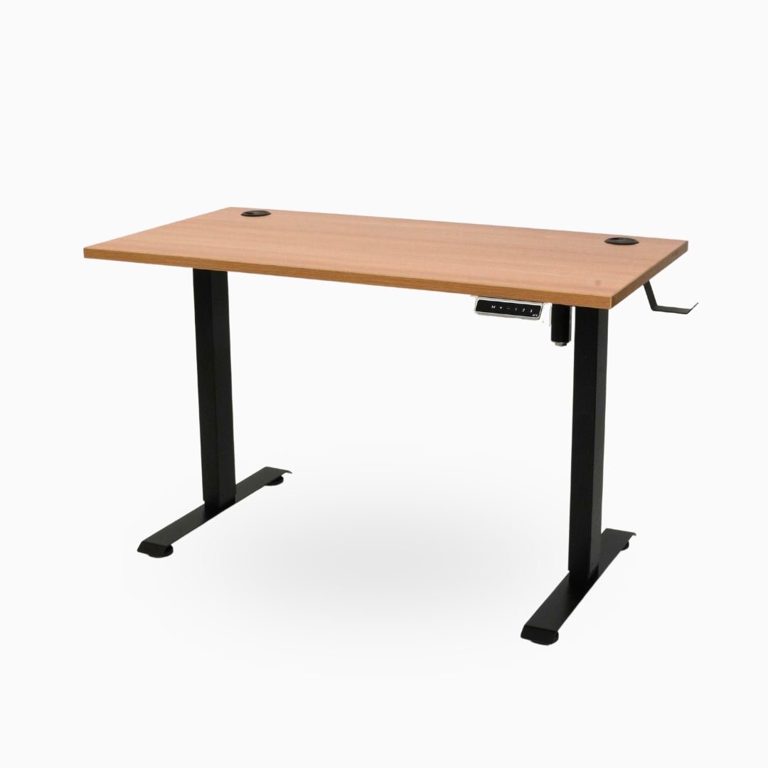 Ark Desk Lite - Economic Single Motor Standing Desk - Ark Ergonomics