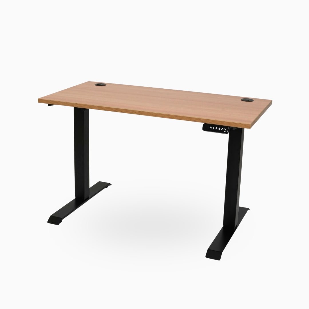 Ark Desk Pro - Executive Dual Motor Standing Desk - Ark Ergonomics