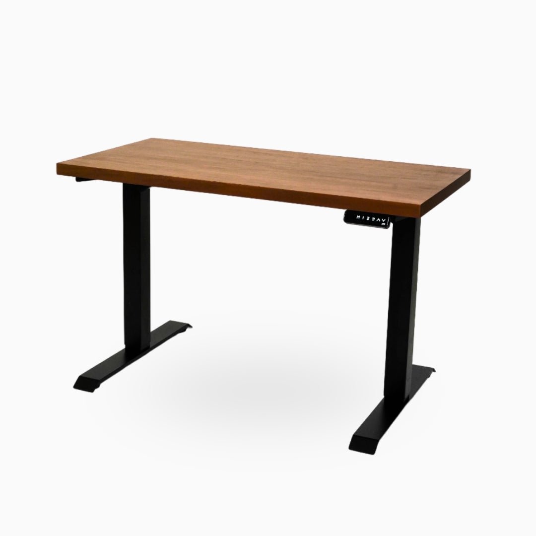 Ark Desk Pro - Executive Dual Motor Standing Desk - Ark Ergonomics