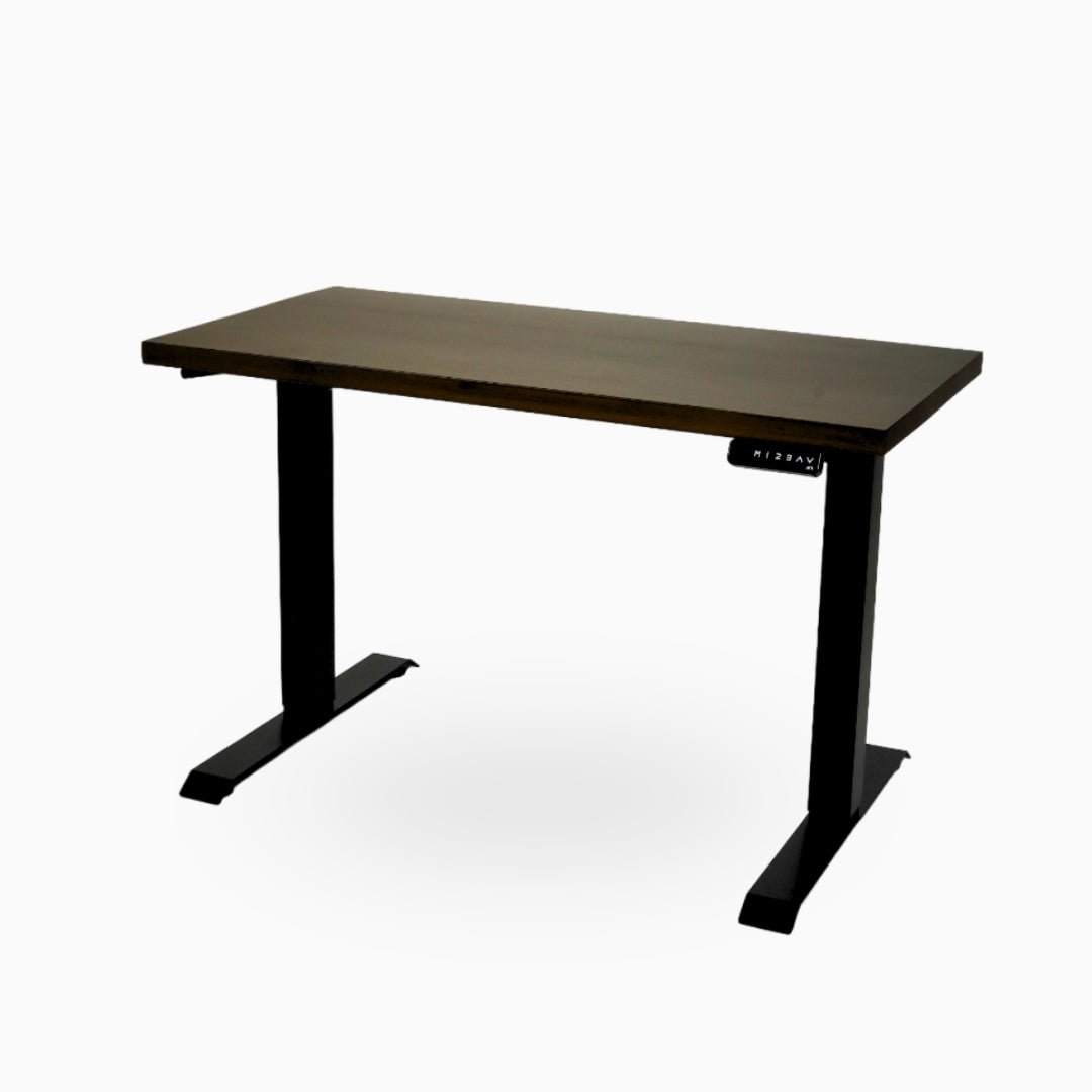 Ark Desk Pro - Executive Dual Motor Standing Desk - Ark Ergonomics