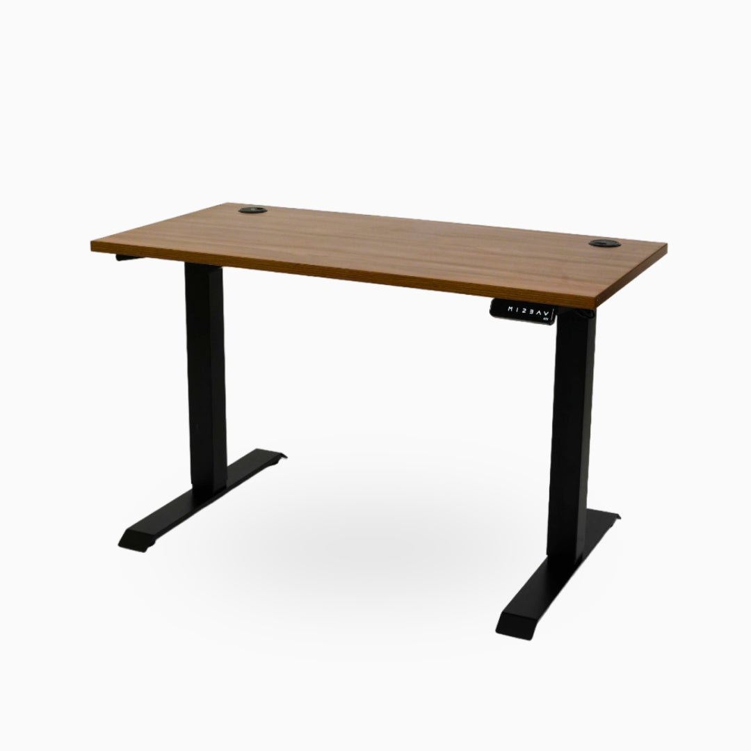 Ark Desk Pro - Executive Dual Motor Standing Desk - Ark Ergonomics