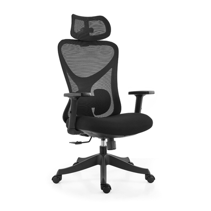 Ark Chair Flexi Ergonomic Office Chair