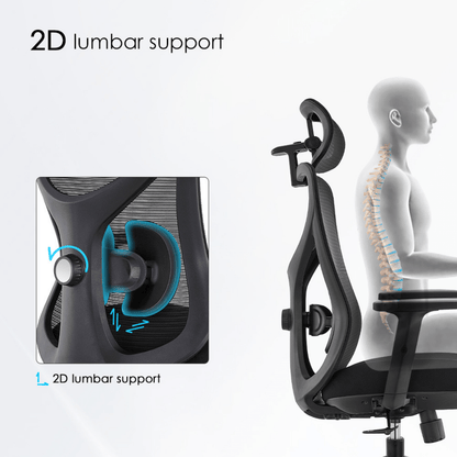 Ark Chair Flexi Ergonomic Office Chair
