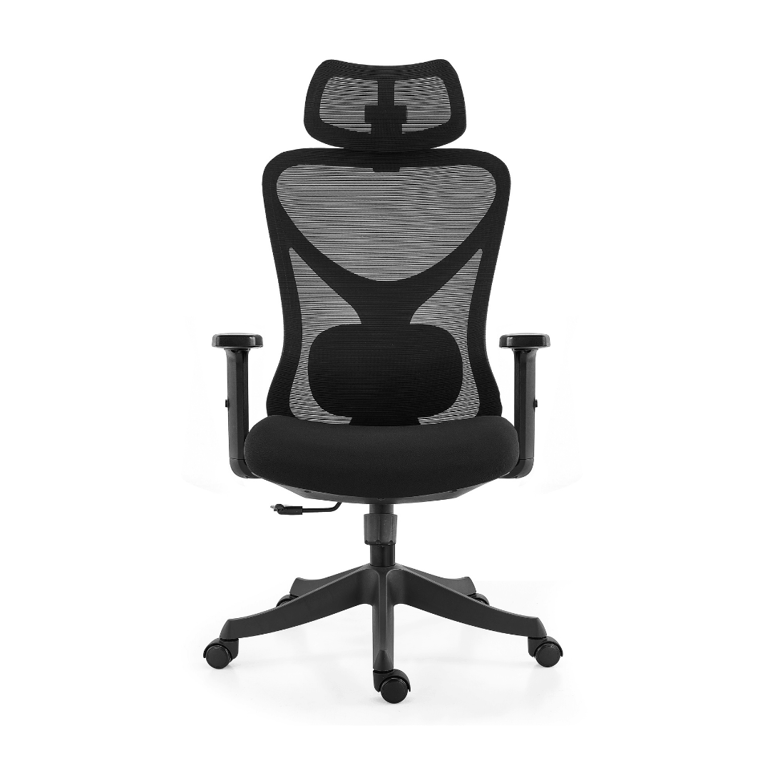 Ark Chair Flexi Ergonomic Office Chair