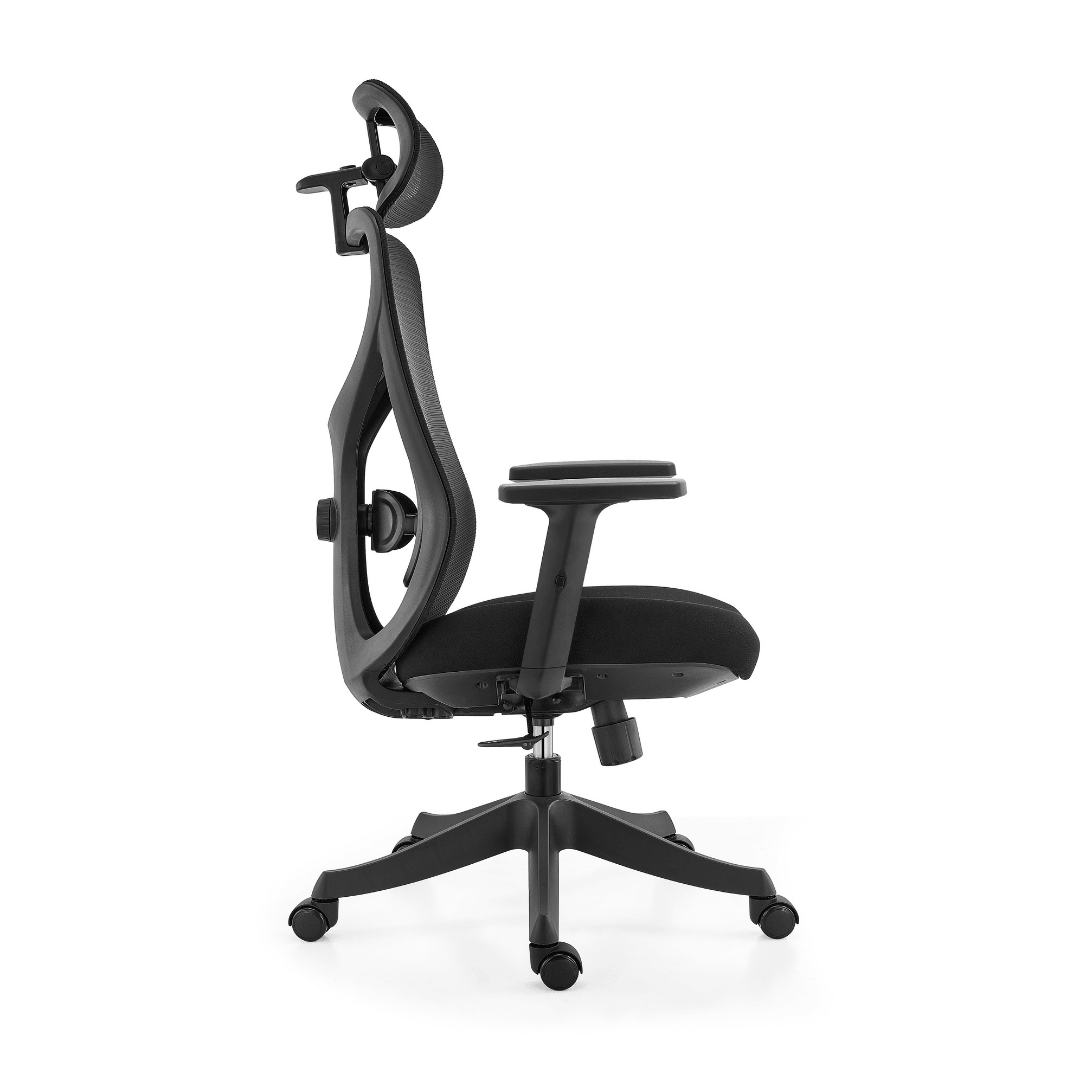 Ark Chair Flexi Ergonomic Office Chair