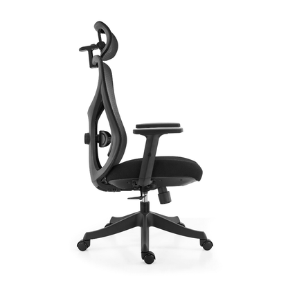 Ark Chair Flexi Ergonomic Office Chair