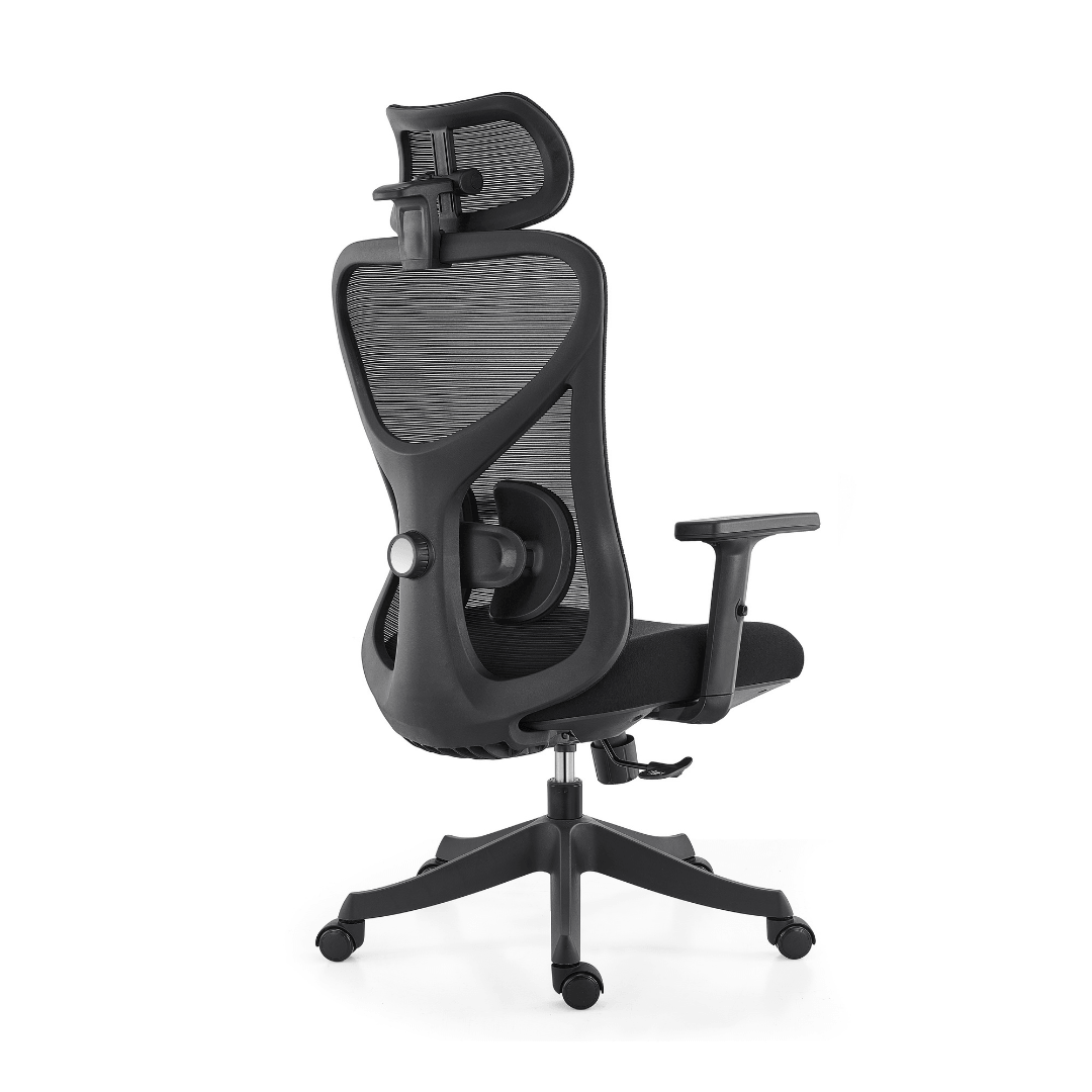 Ark Chair Flexi Ergonomic Office Chair
