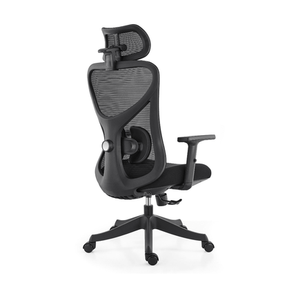 Ark Chair Flexi Ergonomic Office Chair