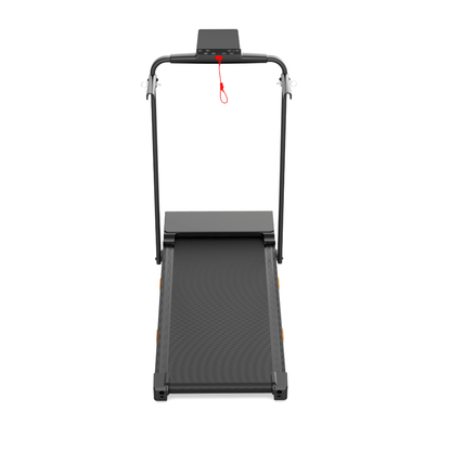 Ark Walking Pad Pro