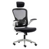 Ark Chair Classic Ergonomic Office Chair