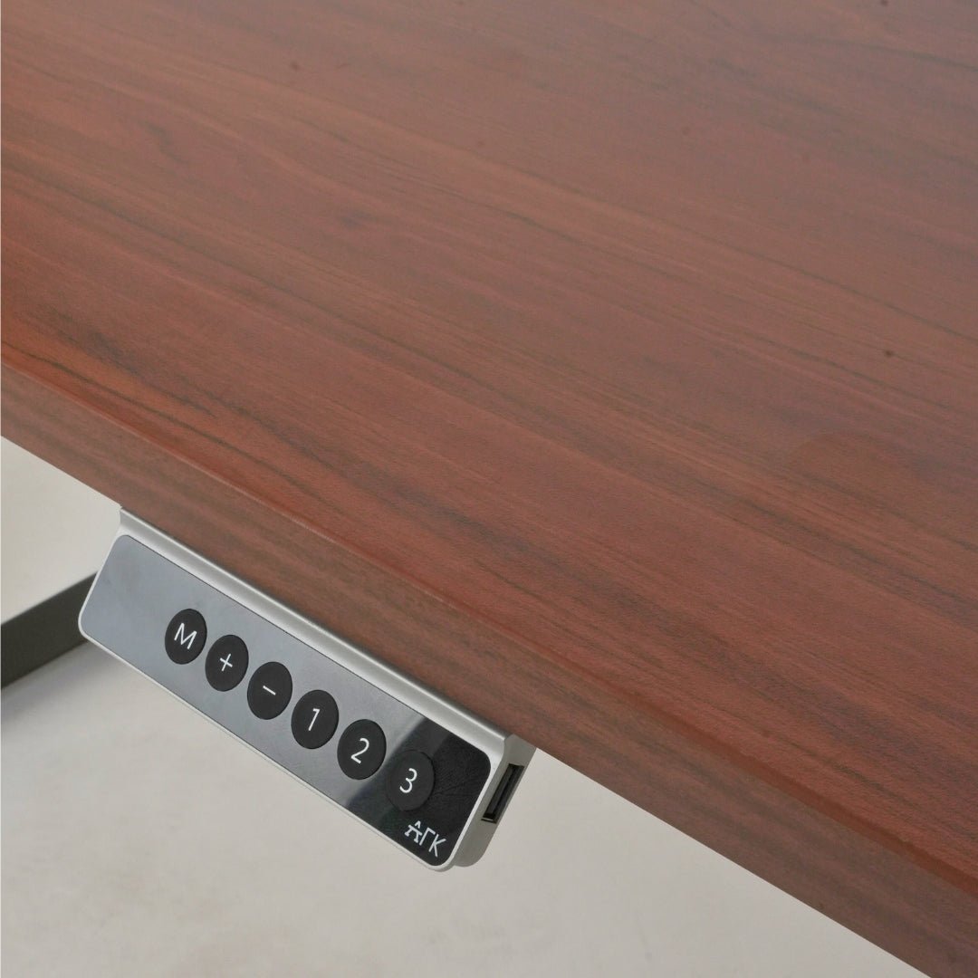 Ark Desk Lite Economic Single Motor Standing Desk | Ark Ergonomics PH
