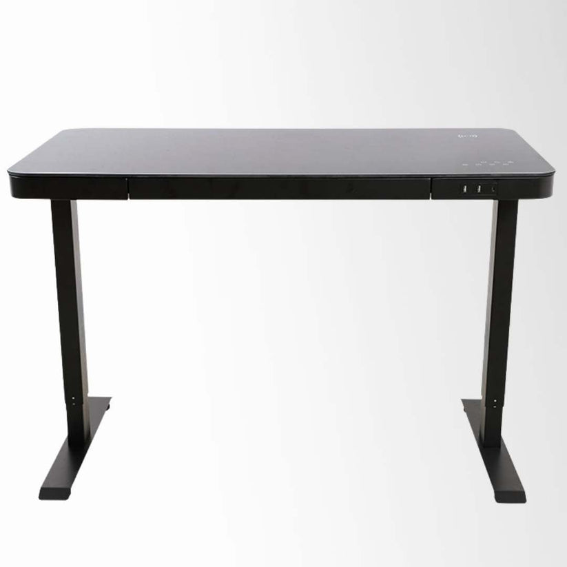 Ark Desk Lux Smart Dual Motor Standing Desk | Ark Ergonomics PH