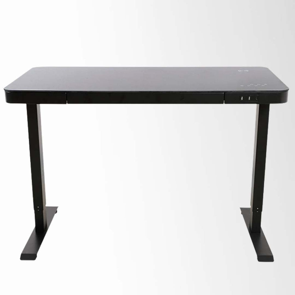 Ark Desk Lux Smart Dual Motor Standing Desk | Ark Ergonomics PH