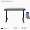 Ark Desk Lux - Glasstop Dual Motor Smart Standing Desk