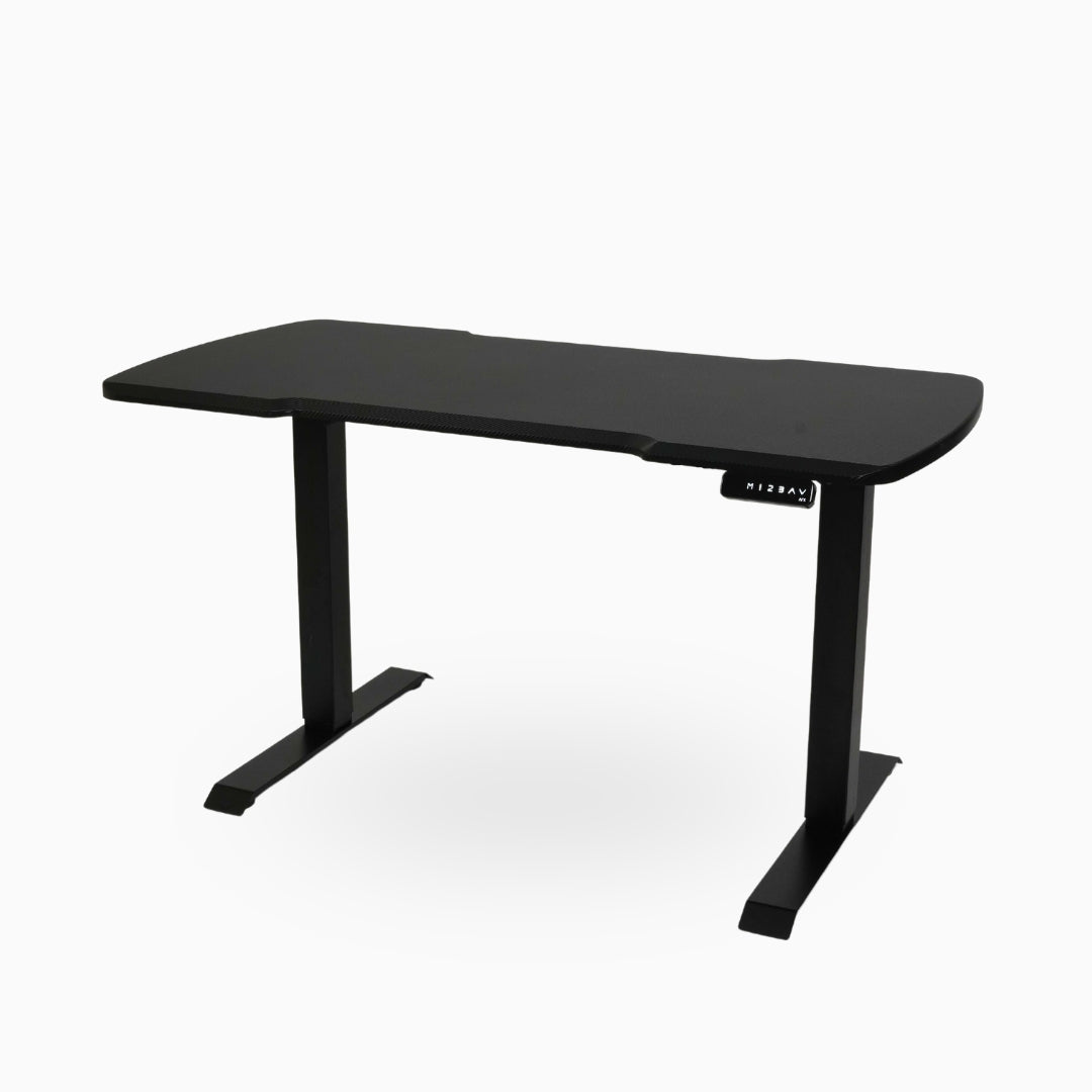 Ark Desk Pro Executive Dual Motor Standing Desk | Ark Ergonomics PH