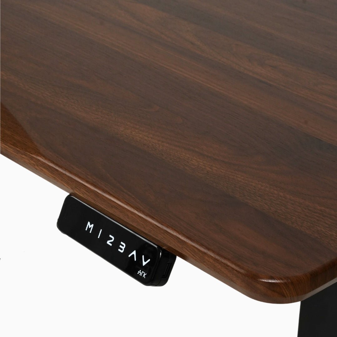 Ark Desk Pro Executive Dual Motor Standing Desk | Ark Ergonomics PH
